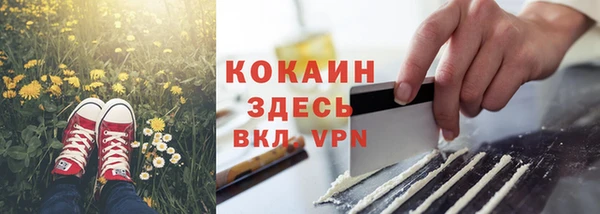 стаф Чита