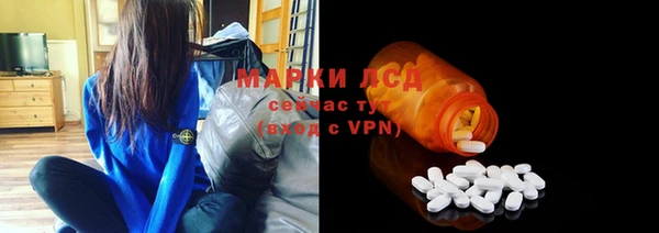 стафф Вязьма